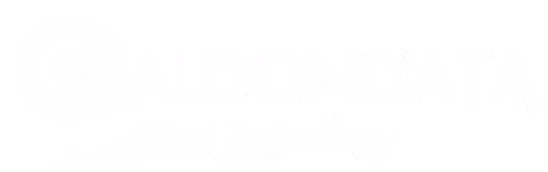 Galdon Data